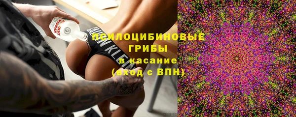 марки lsd Вяземский