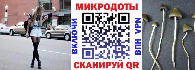 Купить закладки  Юрюзань  Псилоцибиновые грибы Psilocybe 